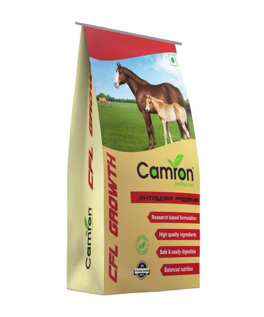 Camron's equine feed for growth.